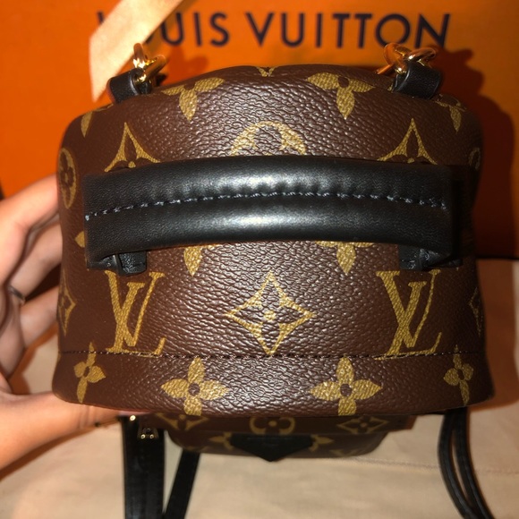 ❌SOLD!!!!❌Louis Vuitton Palm Springs Mini Backpack - Picture 4 of 8